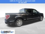 2013 Ford F-150 Platinum