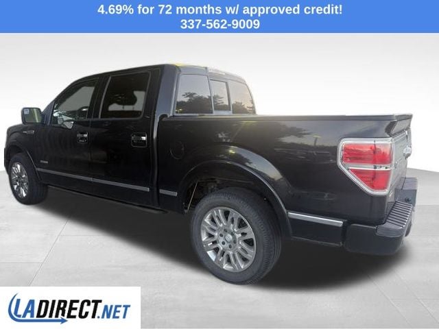 2013 Ford F-150 Platinum